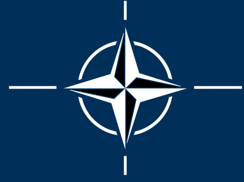 Ţările NATO contribuie la combaterea terorismului