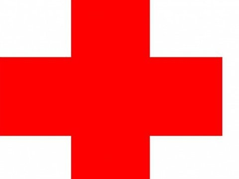 Misiunea Comitetului Internațional al Crucii Roșii a expediat în Donbass 2,8 tone de preparate medicamentoase 