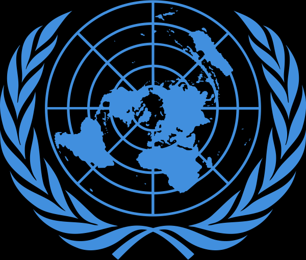 Kievul solicită sprijinul Adunării Generale a ONU