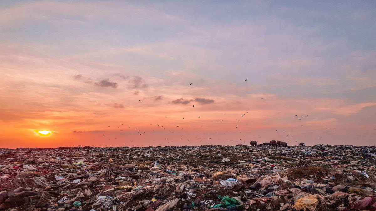"Забруднювач платить" —  заступниця міністра довкілля про законодавчі зміни щодо утилізації відходів