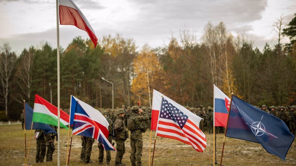 "Такий сценарій цілком імовірний ", – Краєв про війська НАТО в Україні